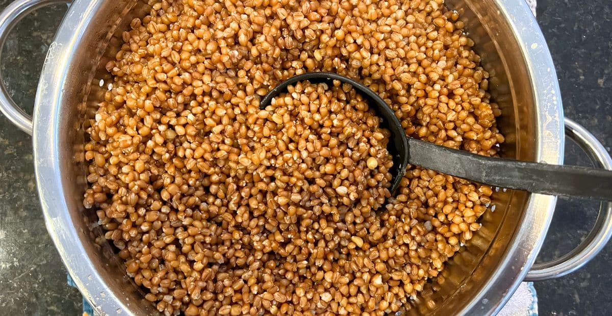 Cook Wheat Berries How to cook wheat berries and wheatberry recipes